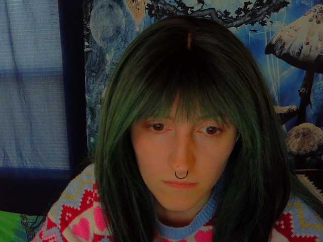 stormythunder webcam