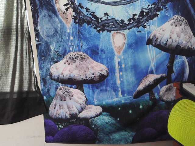 stormythunder's BongaCams show and profile