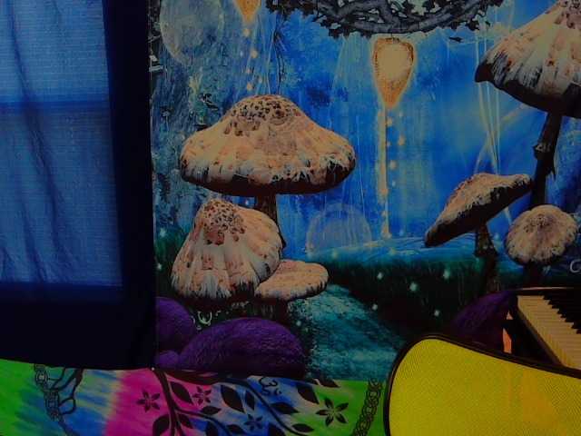 stormythunder Live Cam on BongaCams