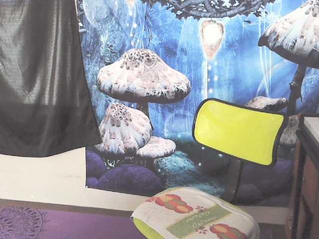 stormythunder — goal: tease pussy through panties 5min @remain tokens remain