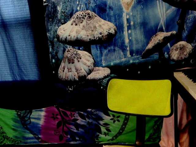 stormythunder's BongaCams show and profile