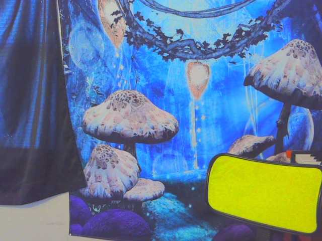 stormythunder's BongaCams show and profile