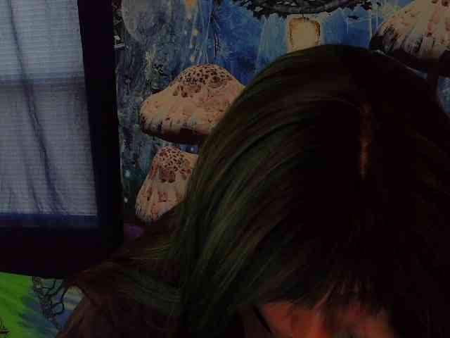 stormythunder webcam