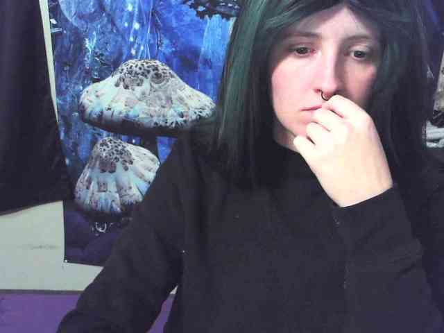 stormythunder webcam