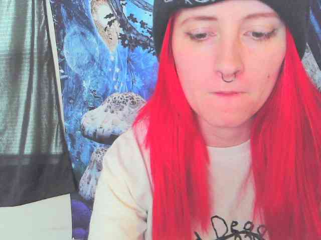 stormythunder webcam