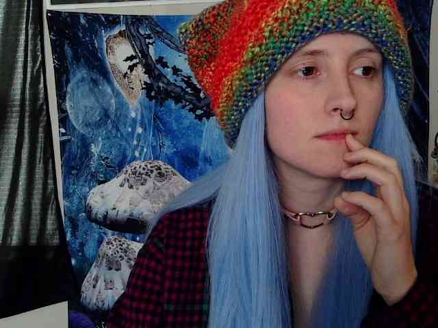 stormythunder webcam