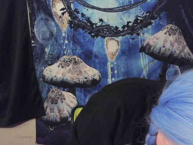 stormythunder webcam