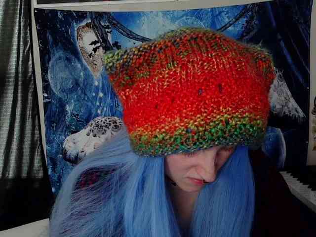 stormythunder webcam