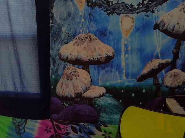 stormythunder webcam