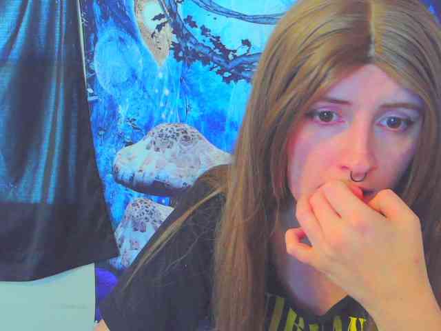 stormythunder webcam