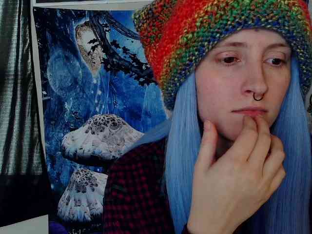 stormythunder webcam