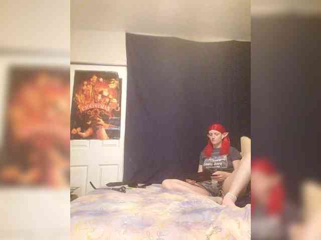 stormythunder webcam