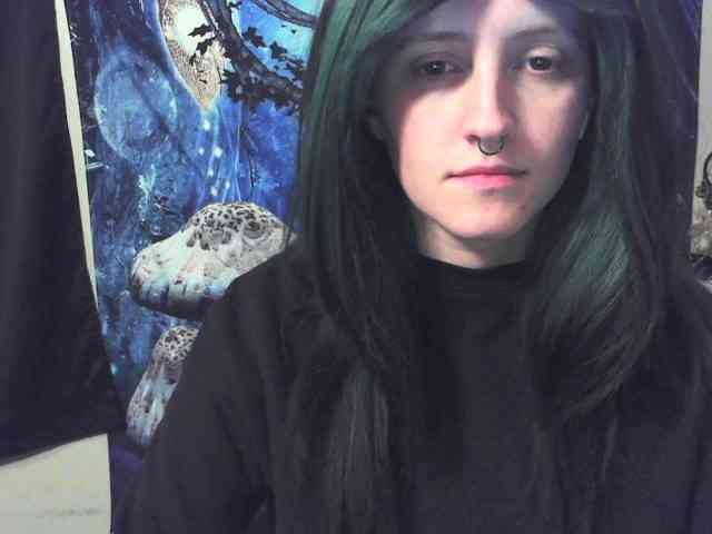 stormythunder webcam