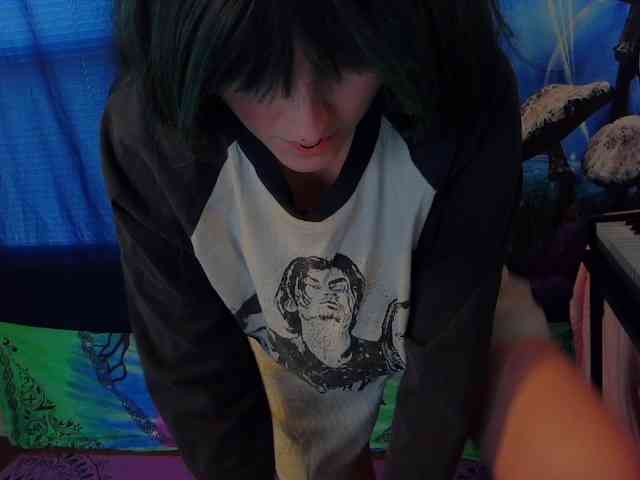 stormythunder webcam