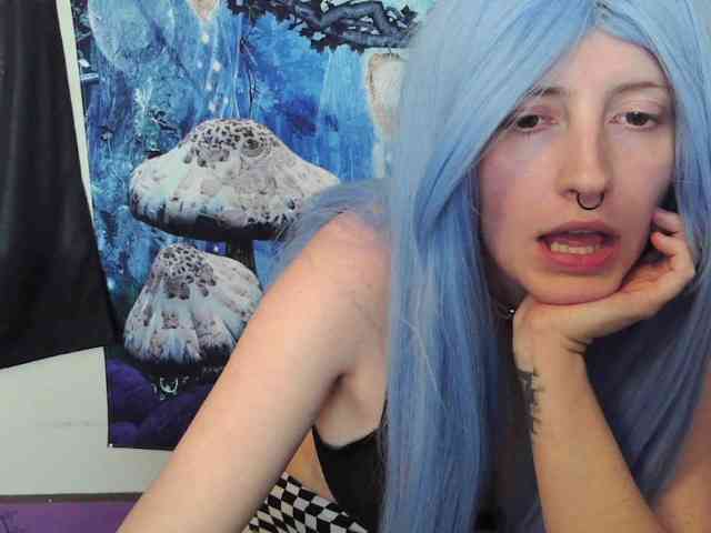 stormythunder webcam