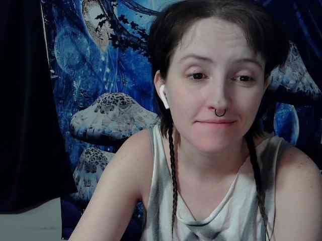 stormythunder webcam