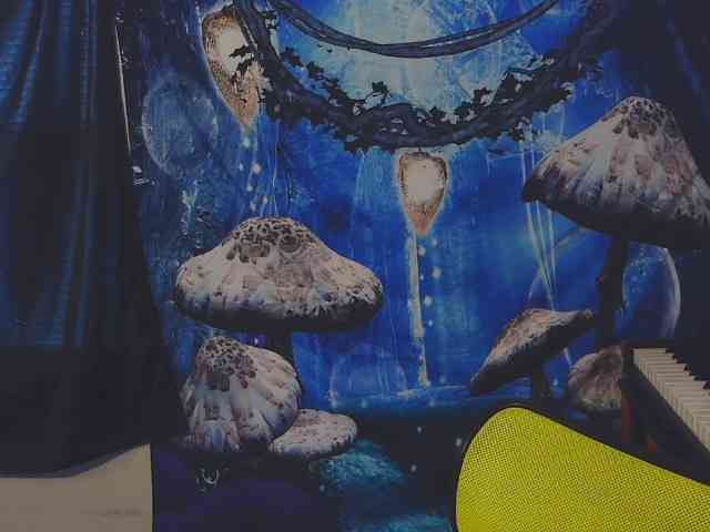 stormythunder webcam