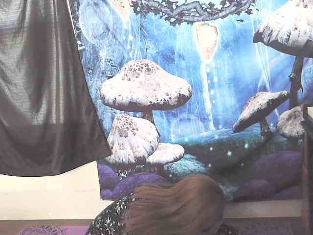 stormythunder webcam