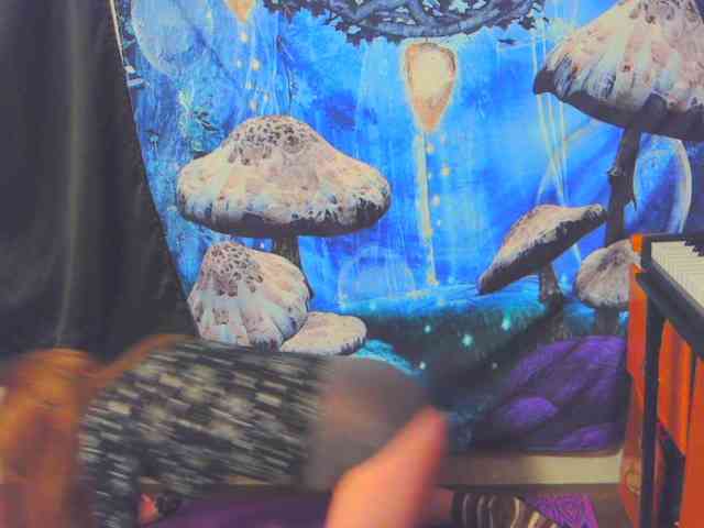 stormythunder webcam