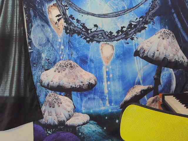 stormythunder webcam