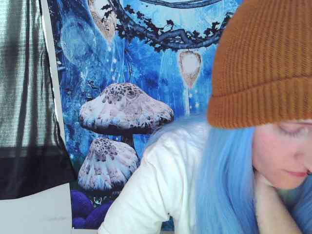 stormythunder webcam