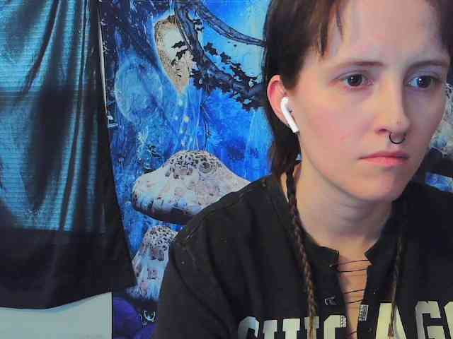 stormythunder webcam