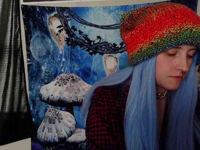 stormythunder webcam