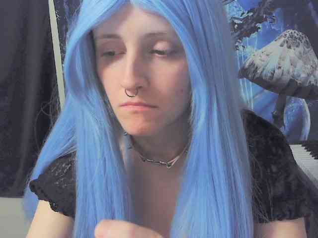 stormythunder webcam