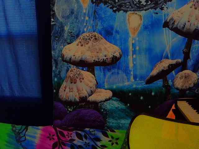 stormythunder webcam