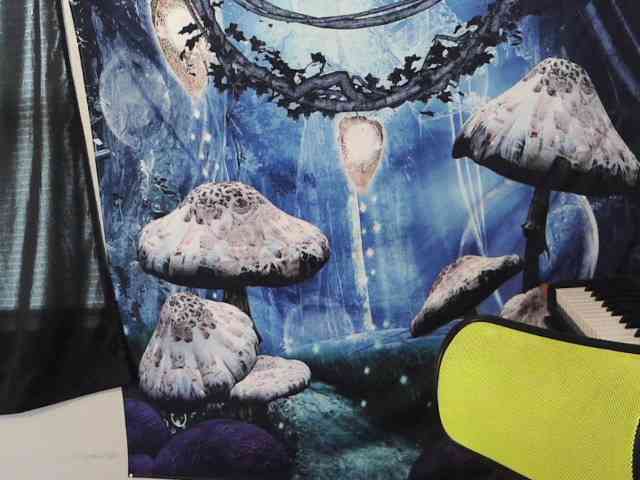 stormythunder webcam