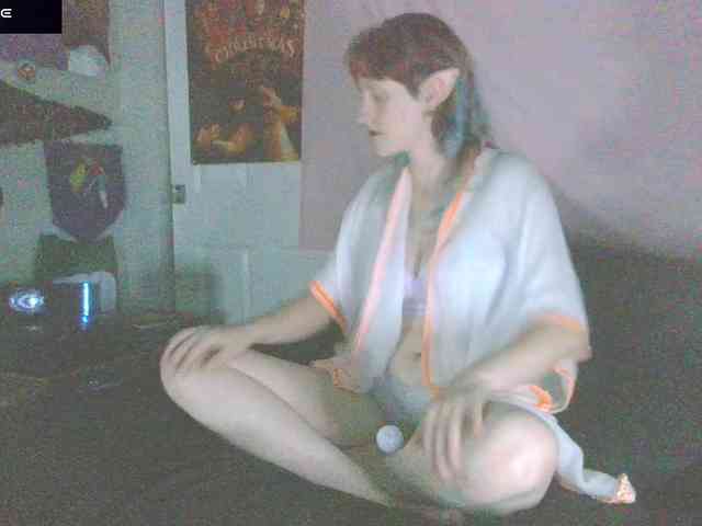 stormythunder webcam