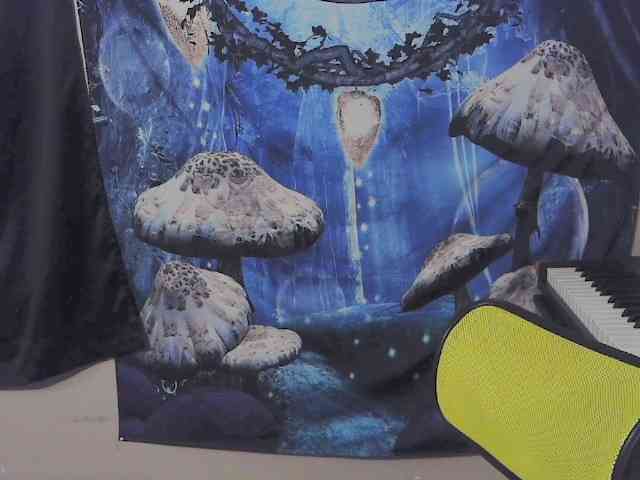 stormythunder webcam