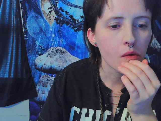 stormythunder webcam