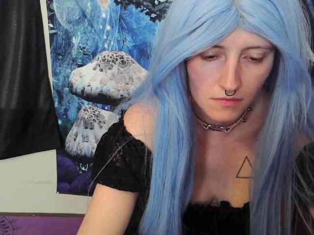 stormythunder webcam