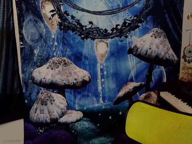 stormythunder webcam