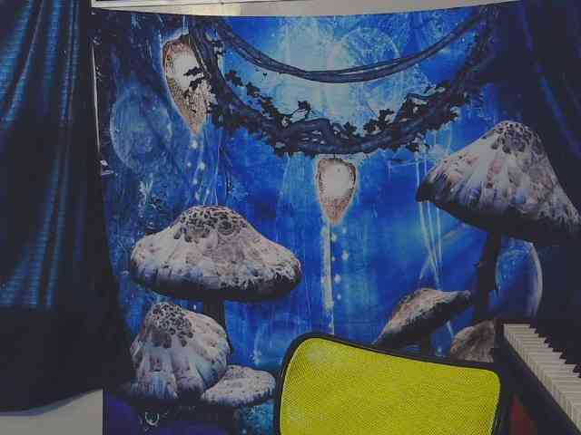 stormythunder webcam