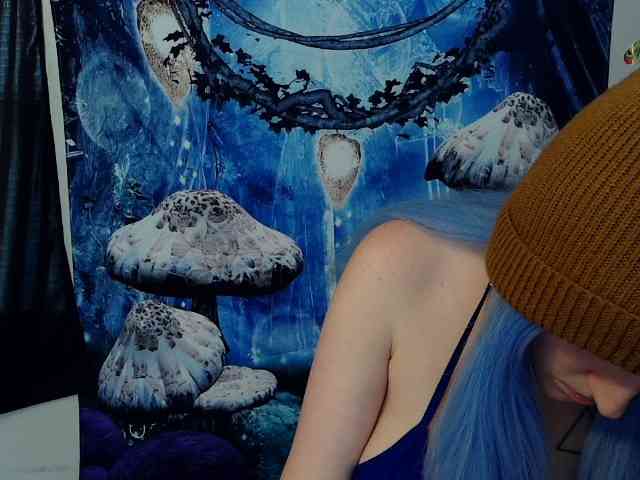 stormythunder webcam