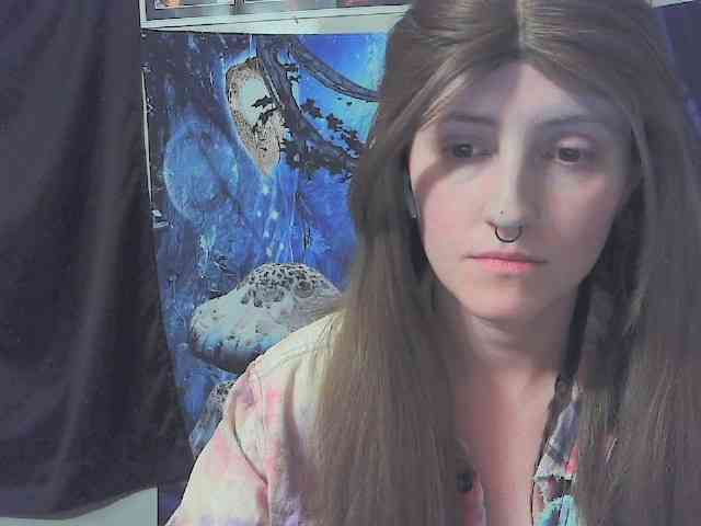 stormythunder webcam