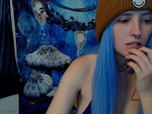 stormythunder webcam