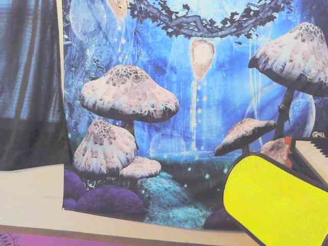 stormythunder webcam