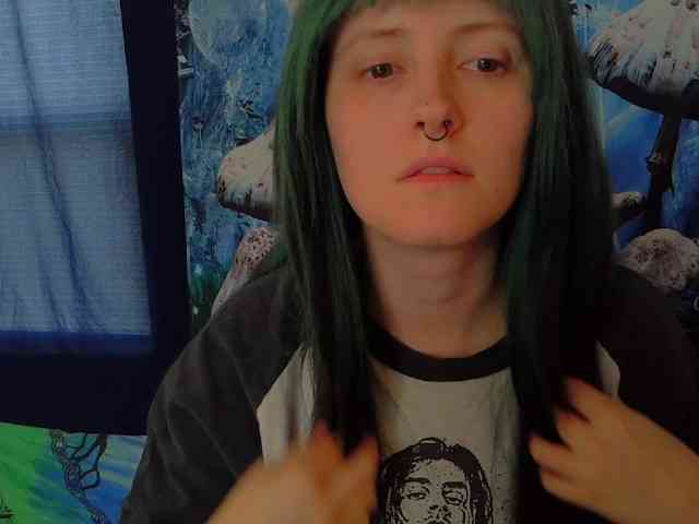 stormythunder webcam