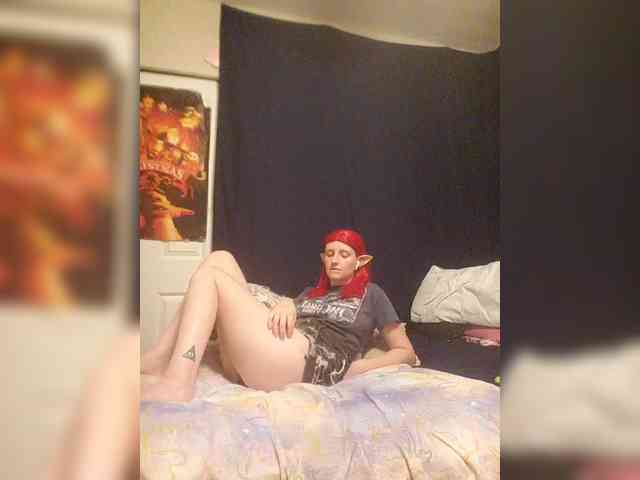 stormythunder webcam