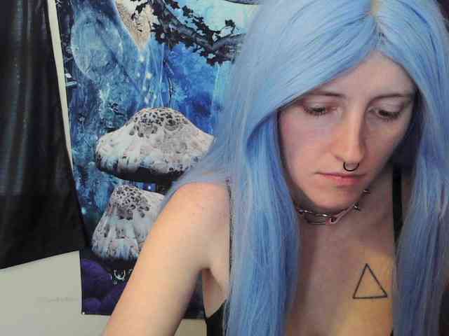 stormythunder webcam