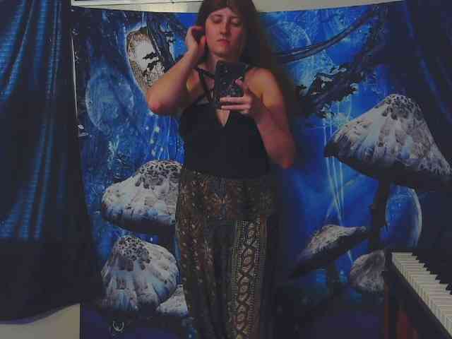 stormythunder webcam