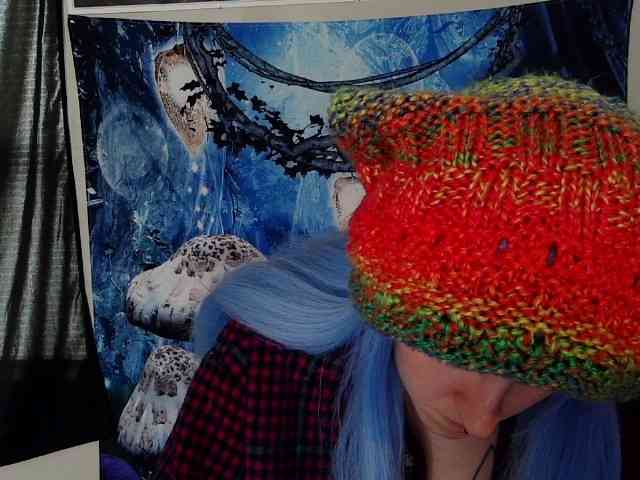 stormythunder webcam