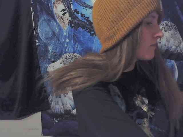 stormythunder webcam