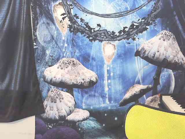 stormythunder webcam