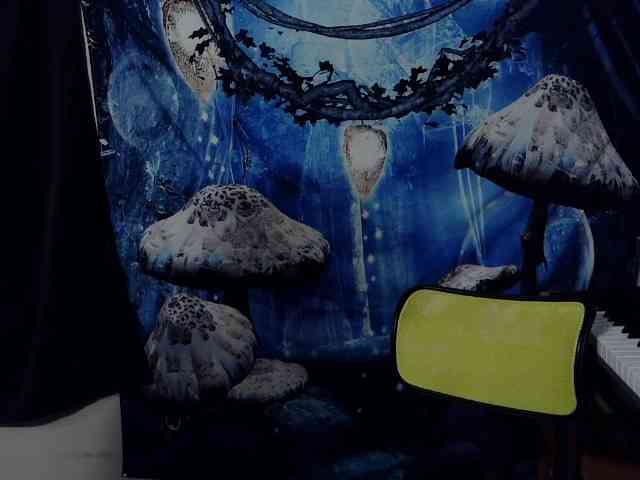 stormythunder webcam