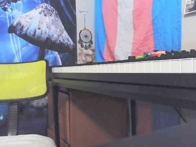 stormythunder webcam