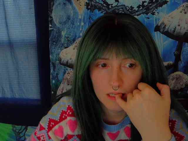 stormythunder webcam